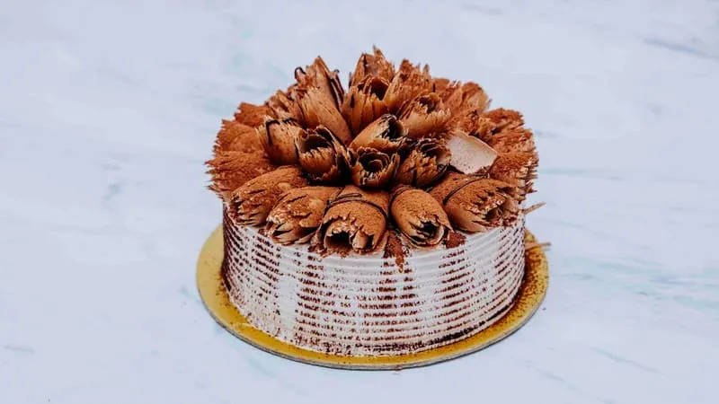 Cake "Shokoladka"
